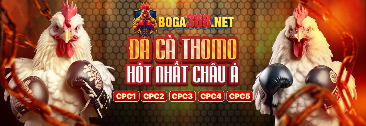 Đá Gà Trực Tiếp shbett